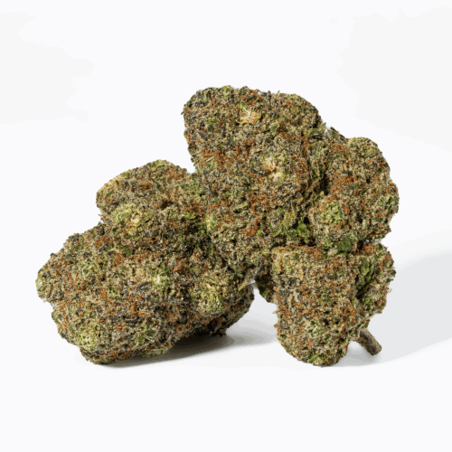 As the mental effects build, a deep body relaxation gradually takes over, creating a heavy, calming sensation that can become quite sedating and often leads to a long, restful sleep. Because of its potency and relaxing qualities, Purple Punch is commonly used to help ease insomnia, chronic stress, nausea, ongoing pain, and depression.