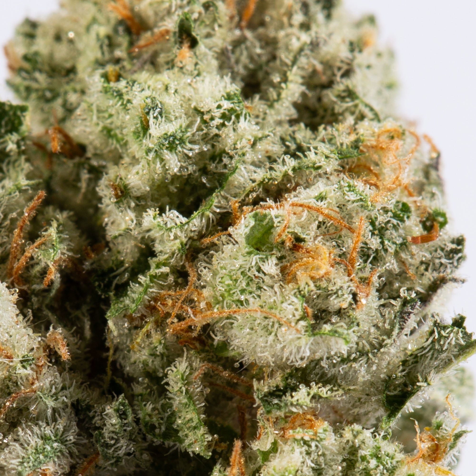 MAC 1 Smalls (AAA) - Image 4