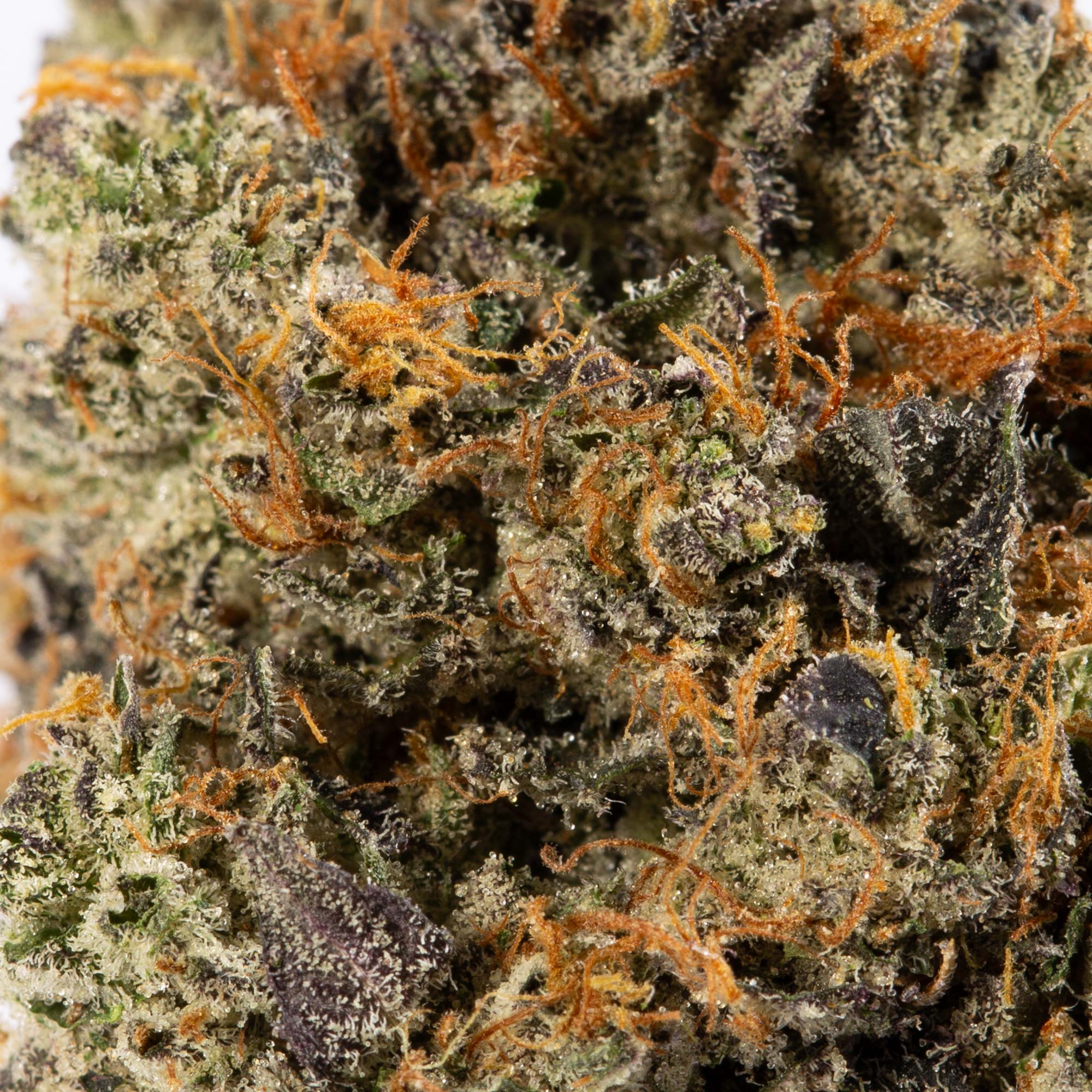 MK Ultra (AAAA) - Image 5