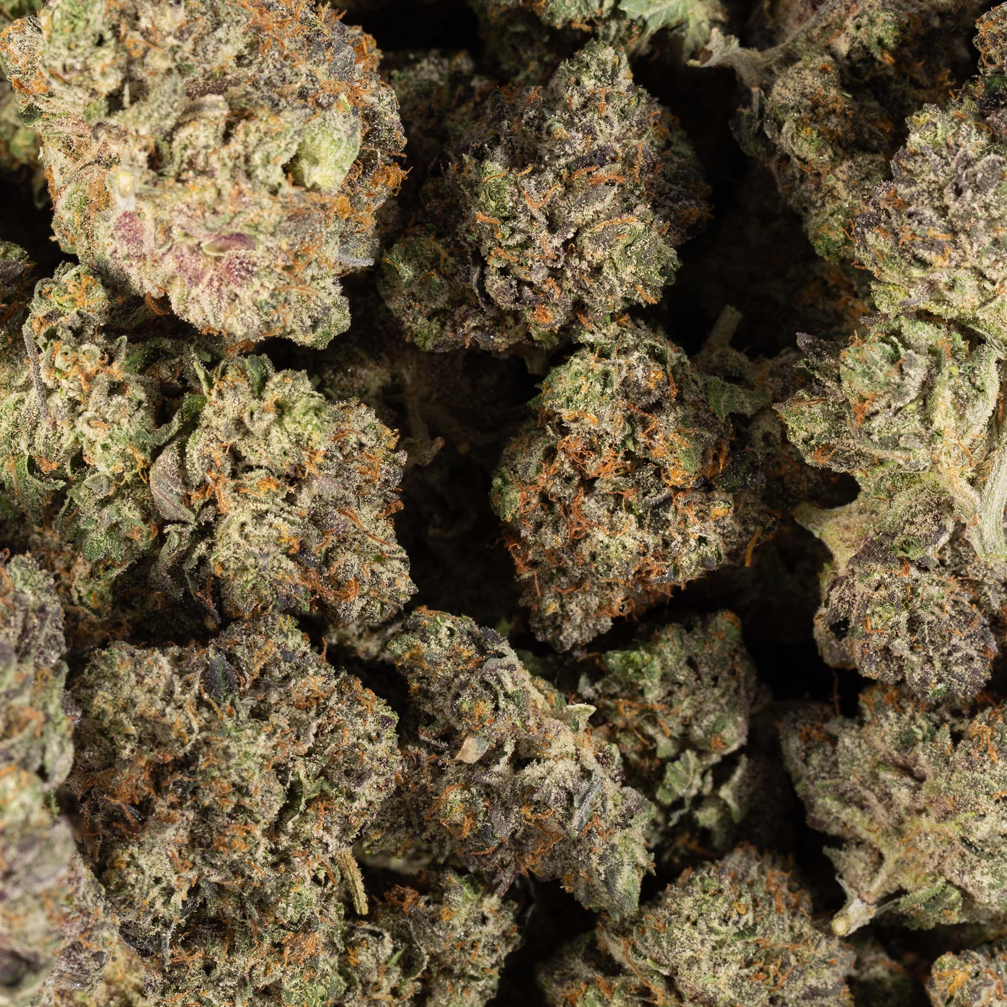 MK Ultra (AAAA) - Image 4