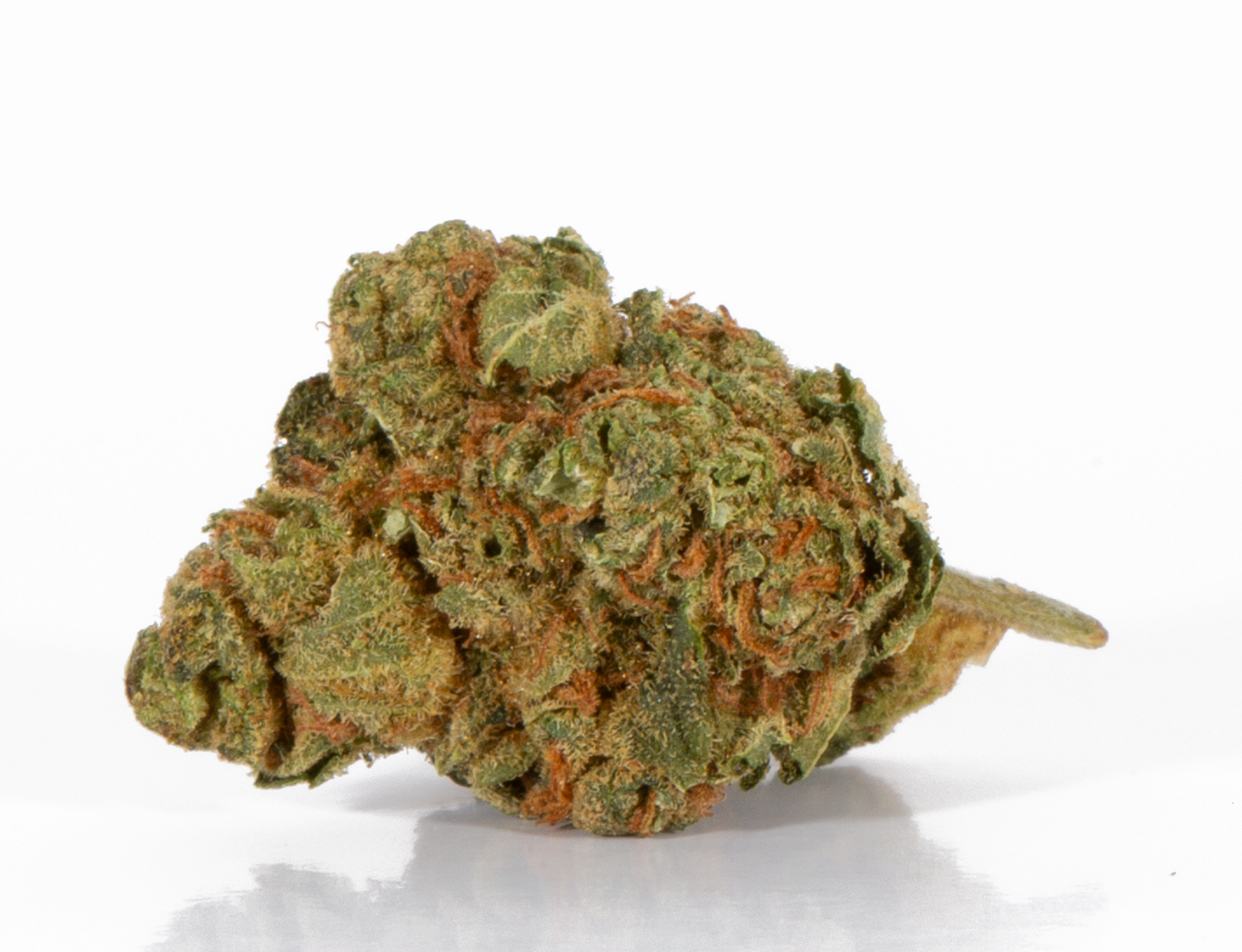 Maui Mango Diesel (AA) - Image 4