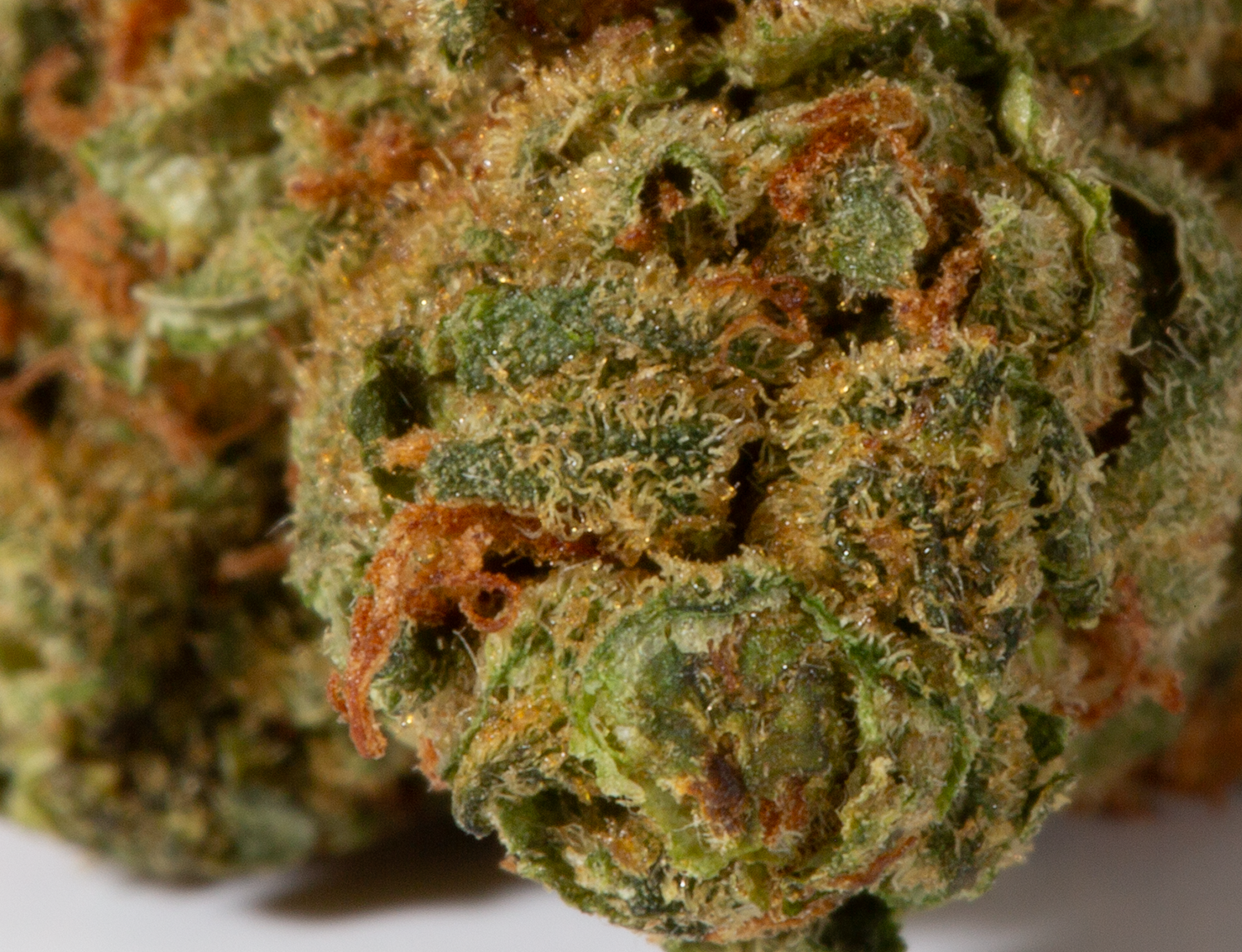 Maui Mango Diesel (AA) - Image 5