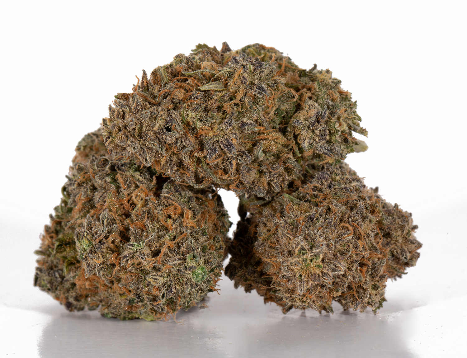 Mimosa (AAA) - Image 2