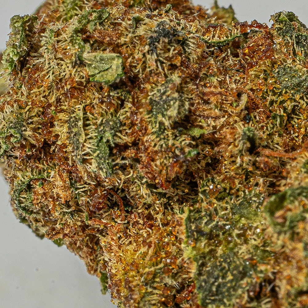 Nuken Smalls (AA) - Image 5