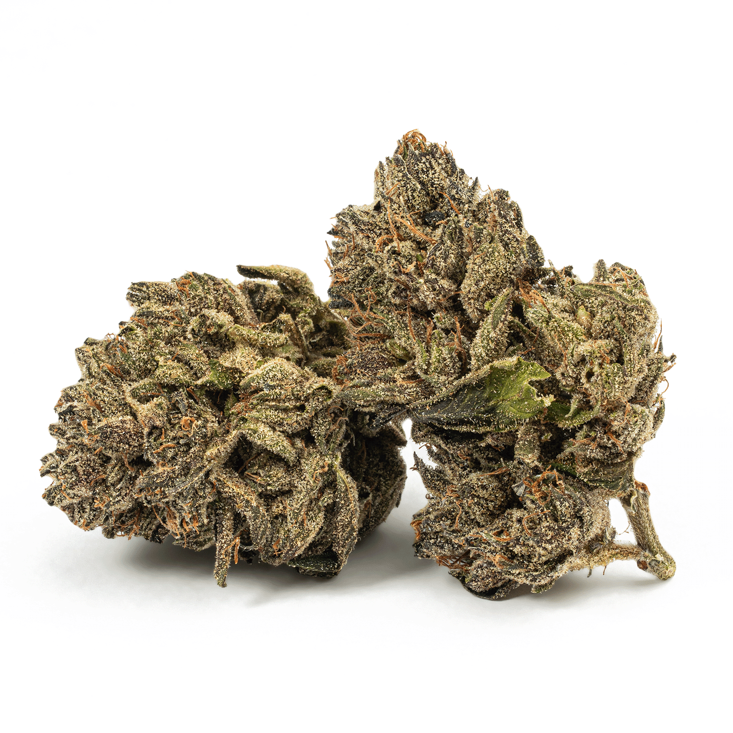 Purple Picasso (AA+)