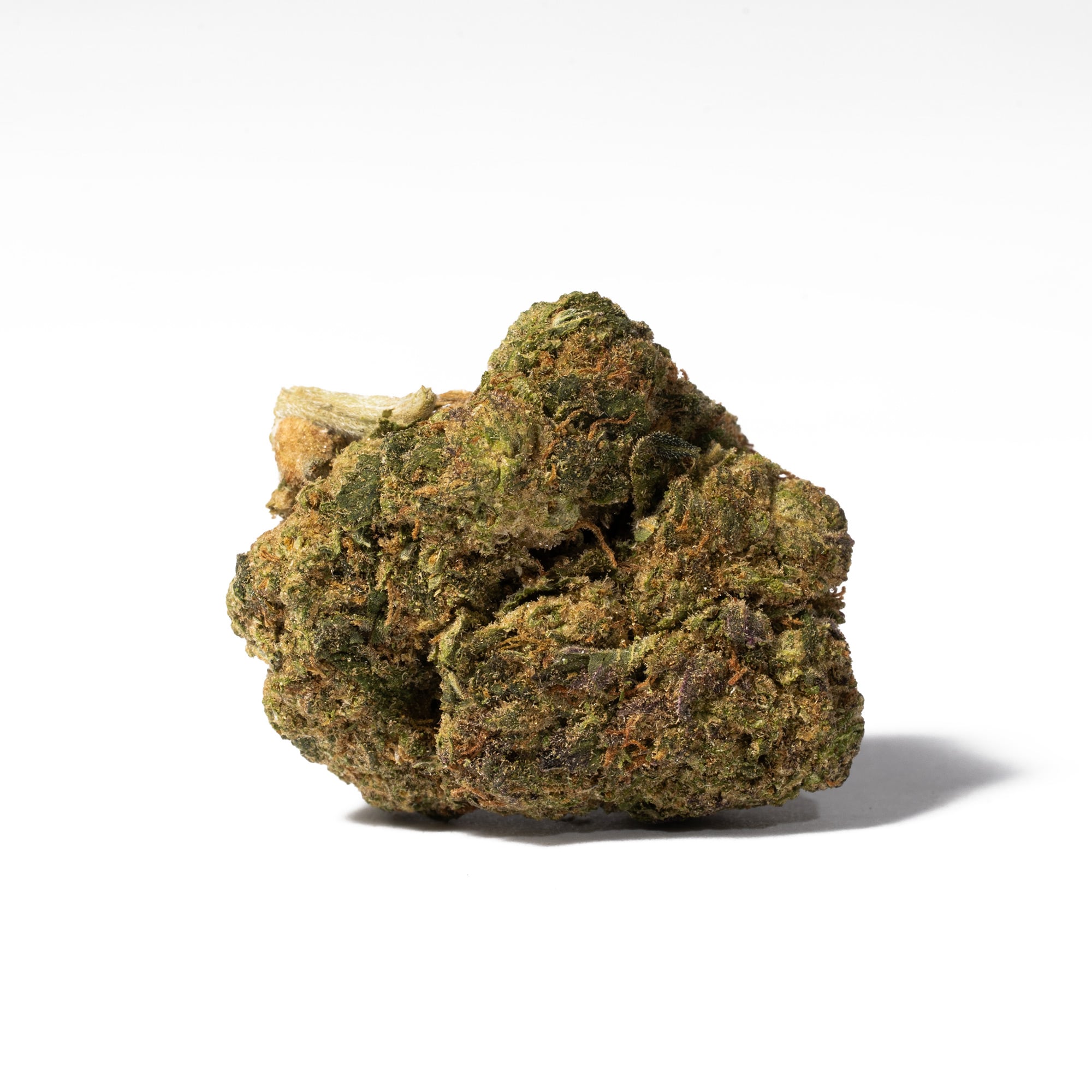 Purple Rain (AA) - Image 3