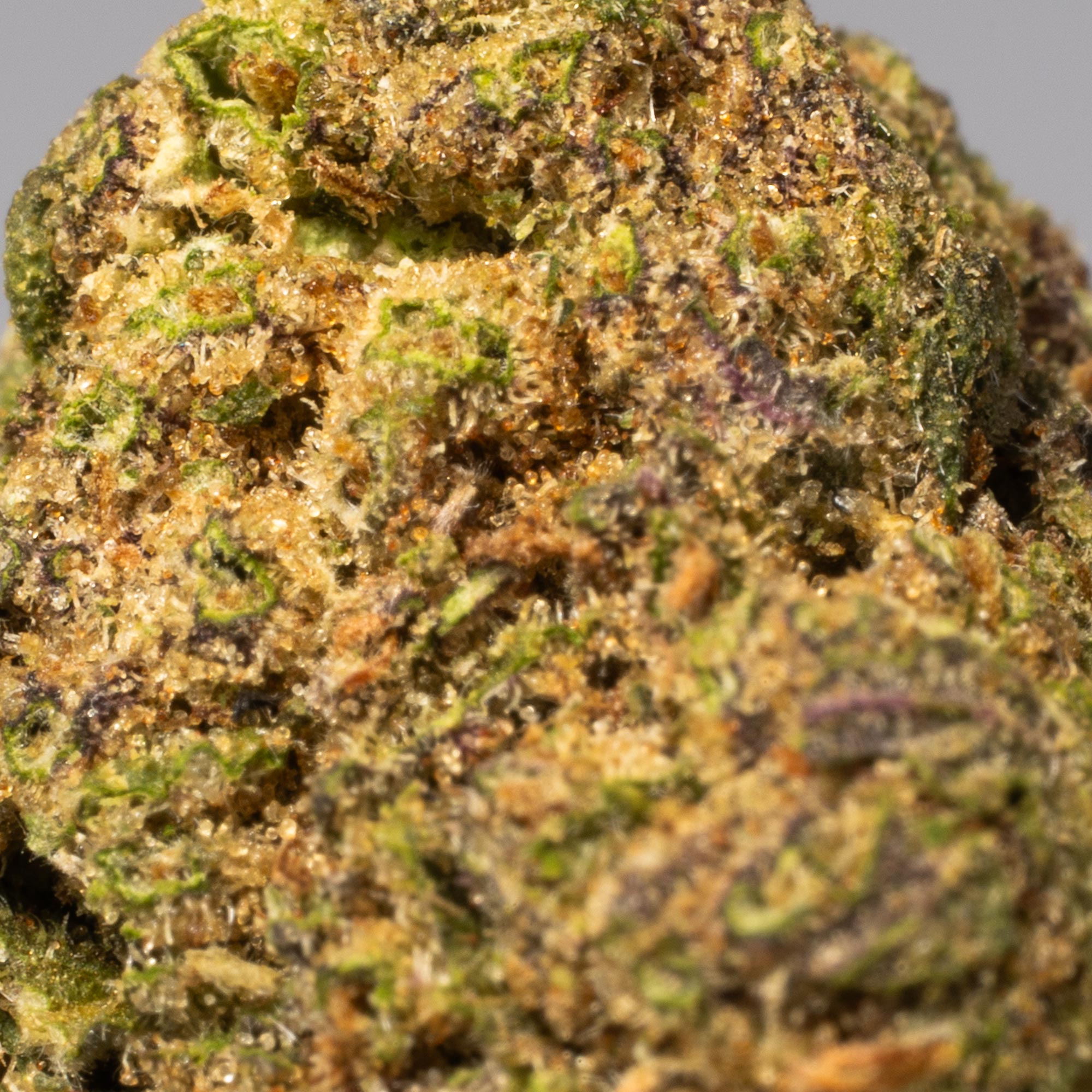 Purple Rain (AA) - Image 4