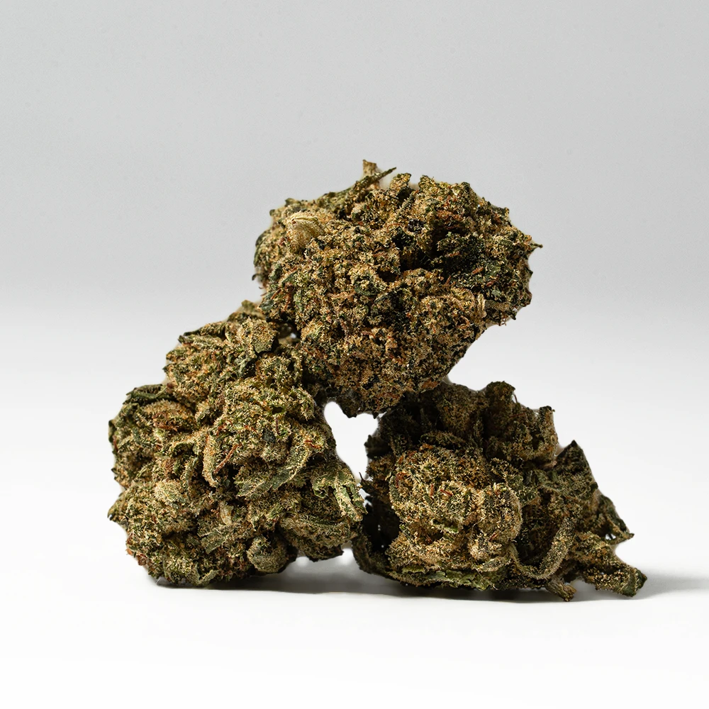 Red Octane Smalls (AA) - Image 3