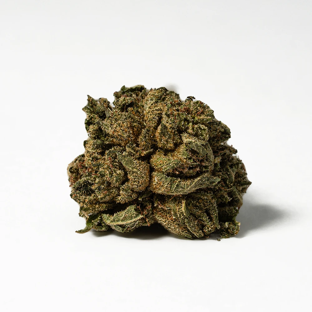 Red Octane Smalls (AA) - Image 2