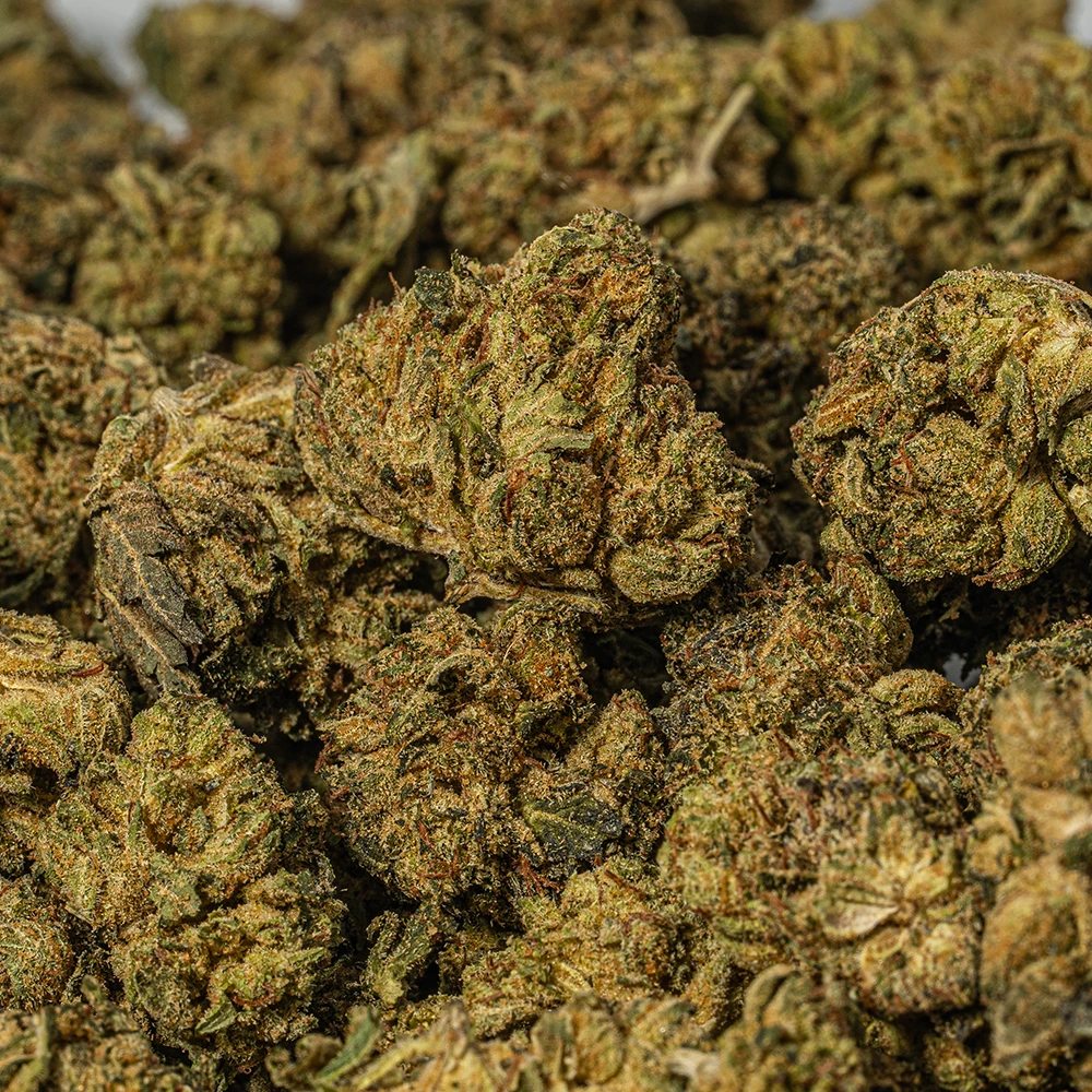 Red Octane Smalls (AA) - Image 4