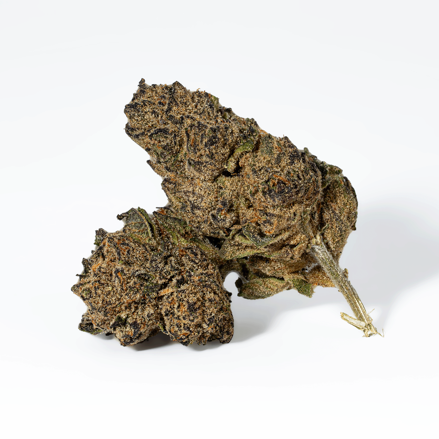 Purple Pinecone (AA+) - Image 2