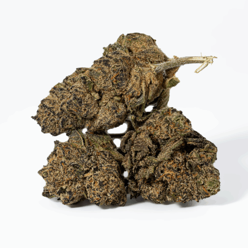 Purple Pinecone (AA+)