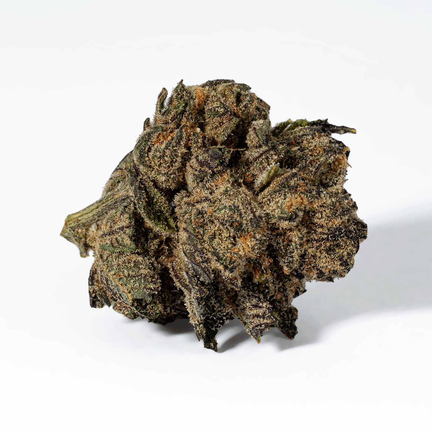 Purple Pinecone (AA+) - Image 3
