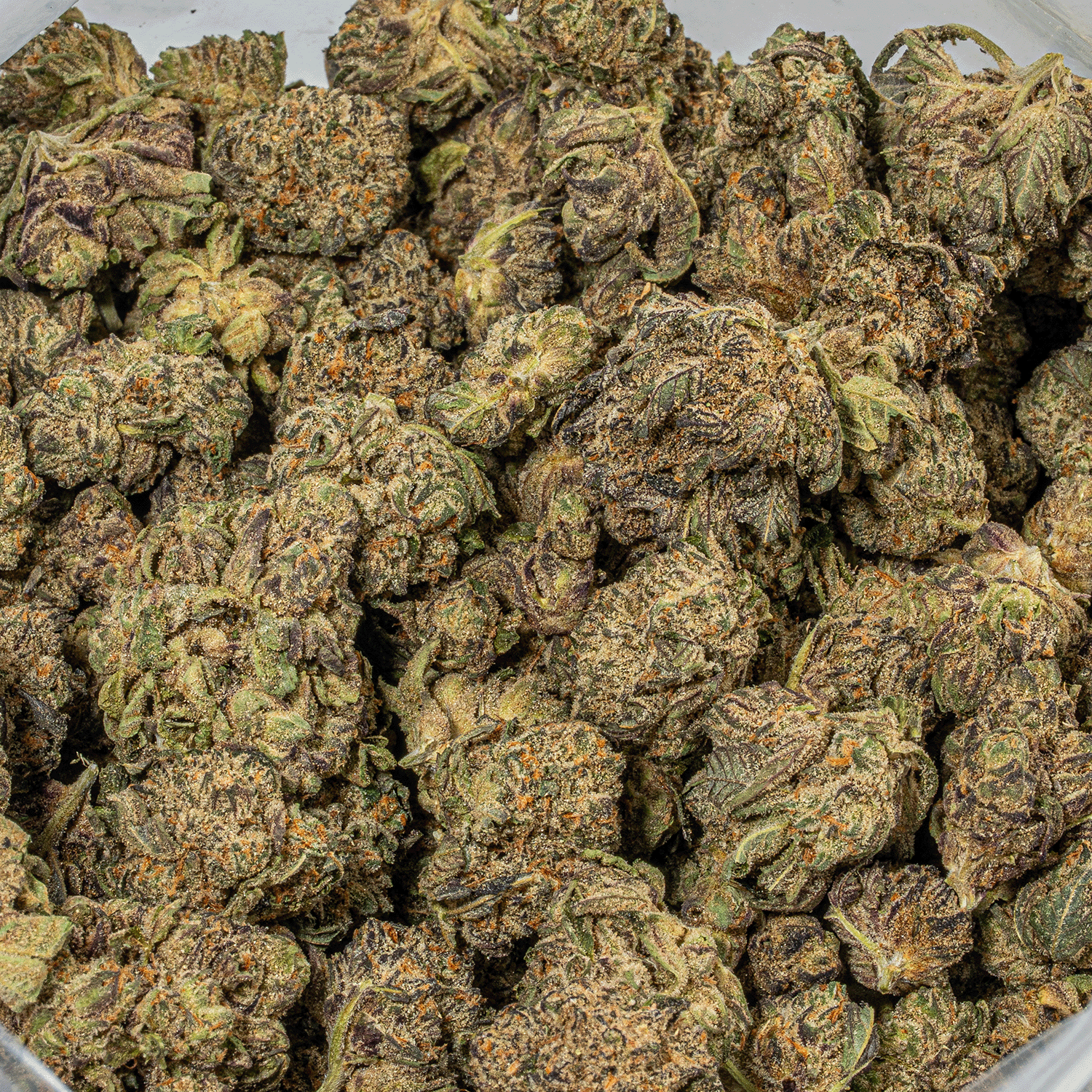 Purple Pinecone (AA+) - Image 4