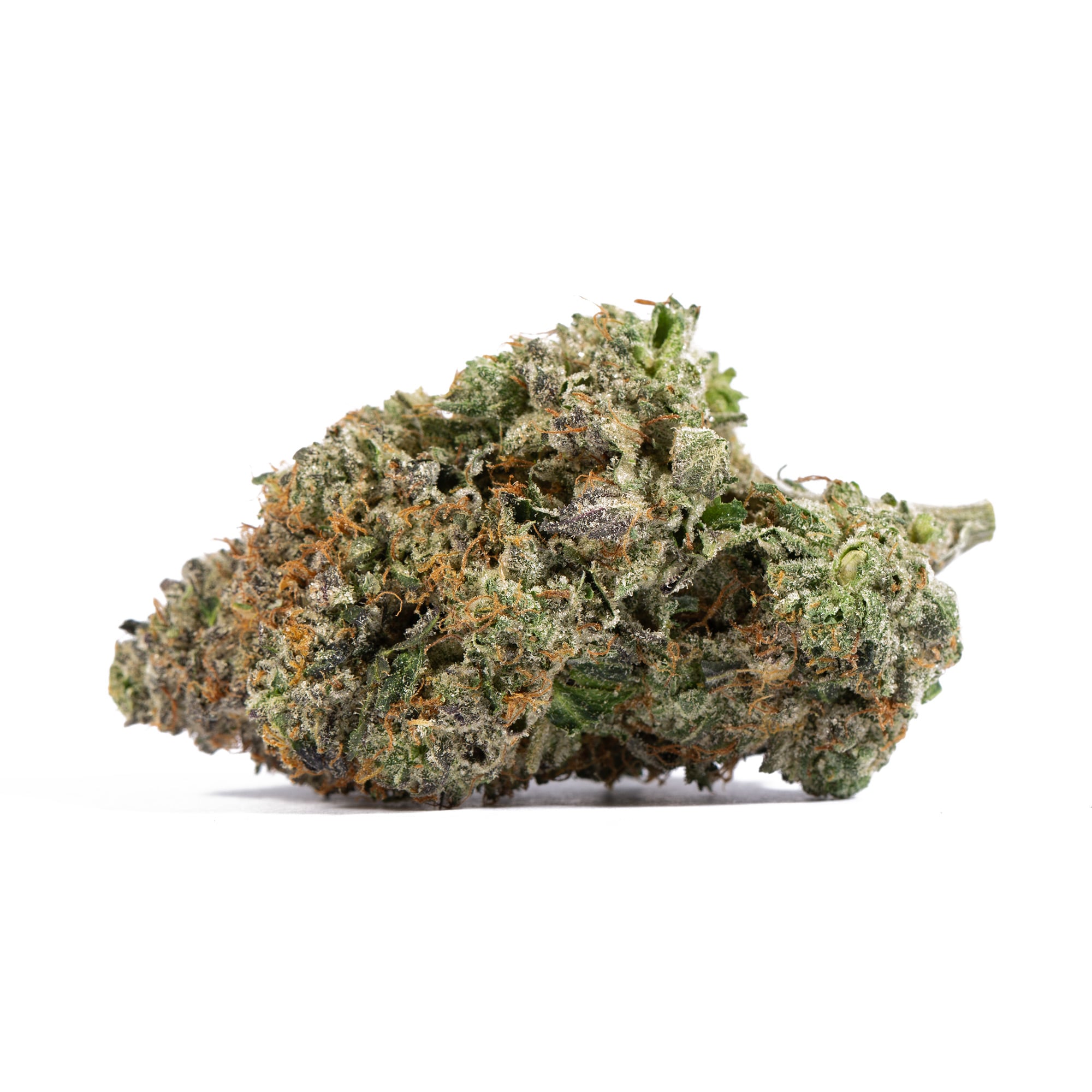 Primus OG (AAAA) - Image 3