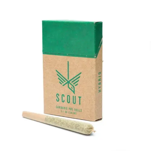 Scout - 5 Pack Pre-Rolls (0.5g) - Hybrid