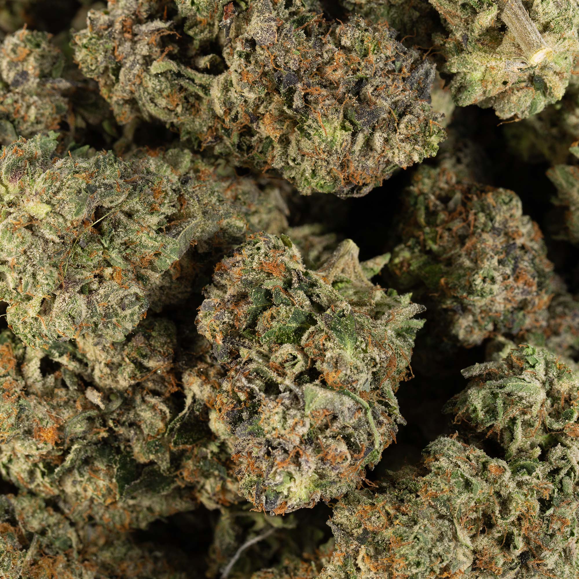 Alien Rift (AAAA) - Image 4