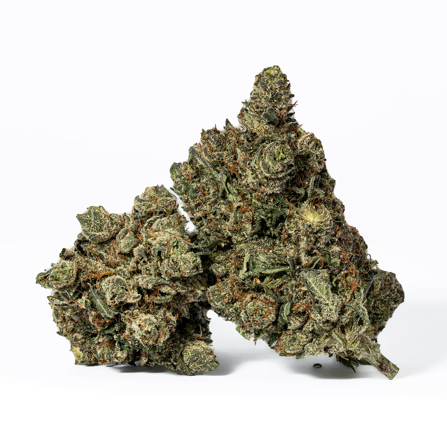 Purple Aurora (AAA+) - Image 2