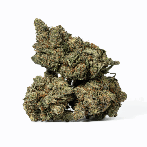 Purple Aurora (AAA+)