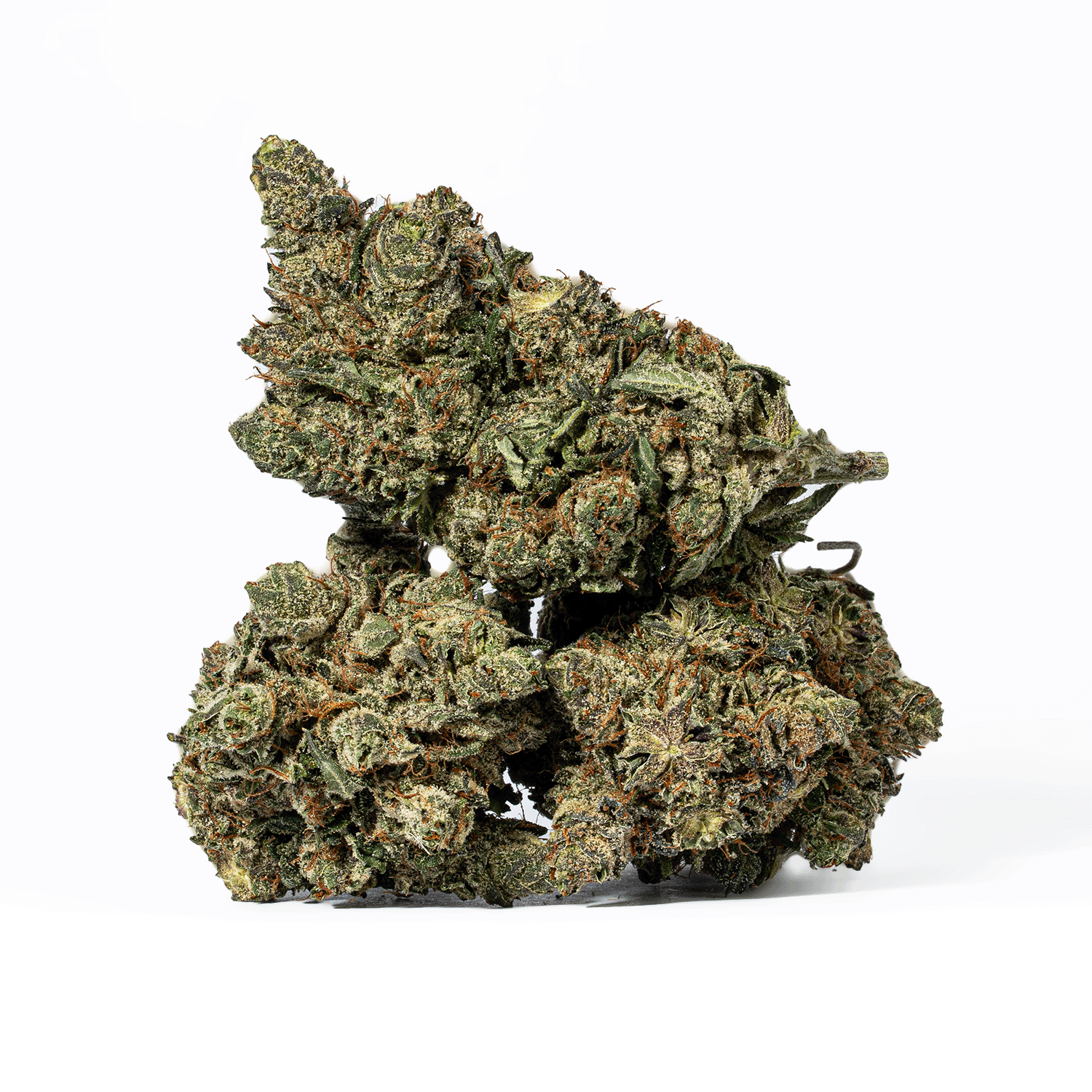 Purple Aurora (AAA+)