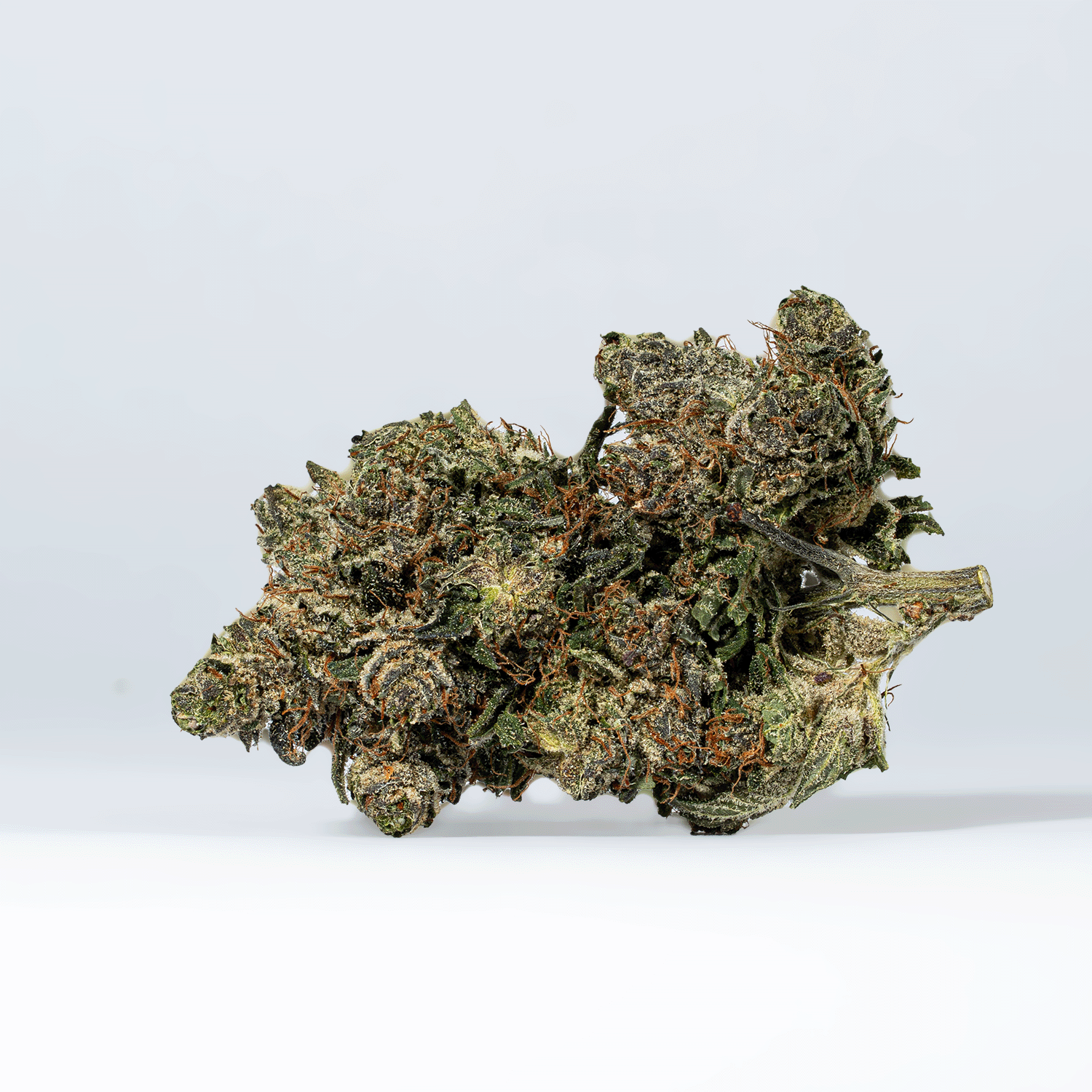 Purple Aurora (AAA+) - Image 3