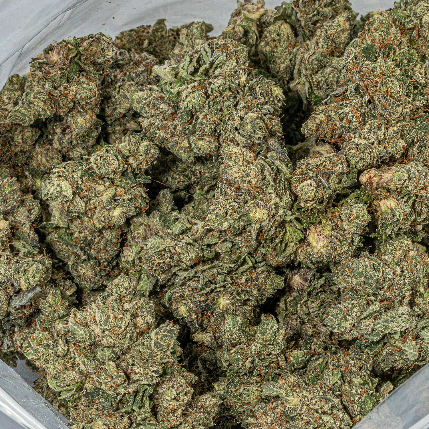 Purple Aurora (AAA+) - Image 5