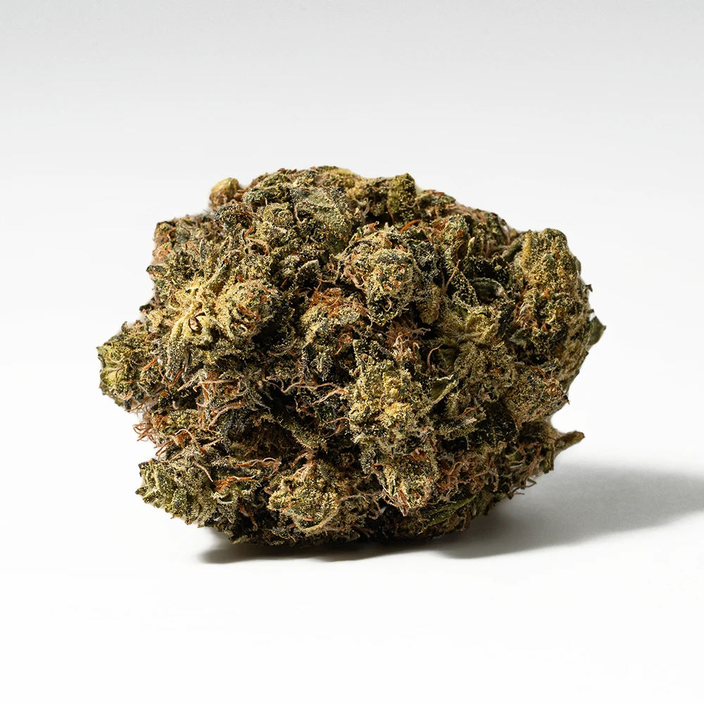 White Death (AAA) - Image 2