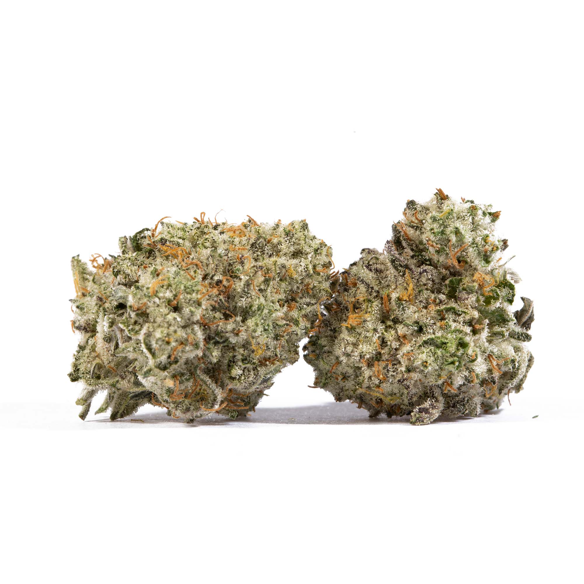White Widow Smalls (AA+) - Image 2