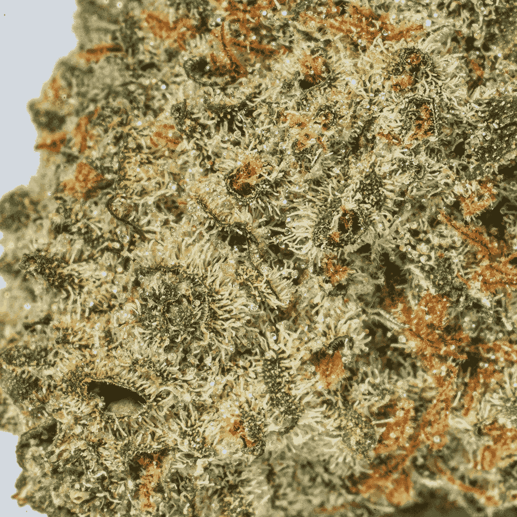 Apple Smacks (AA+) - Image 5