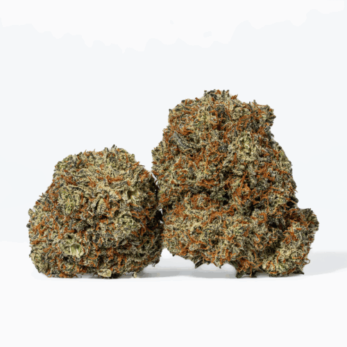 The Peyote Cookies high will get you almost as soon as you exhale, infusing you with heavy long-lasting effects that will leave you relaxed for hours on end. You'll feel a happy onset wash over you a few minutes after your first toke, lifting you into a state of relaxing bliss. This effect will soon wash over your entire body, lulling you down into a heavy physical stone that lasts for hours on end.