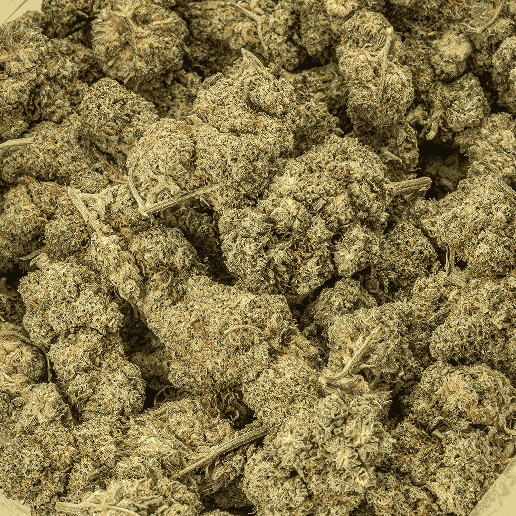 Candy Corn (AA+) - Image 4