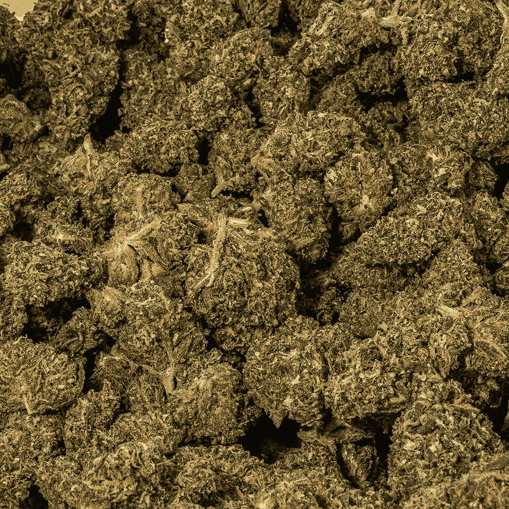 Dark Knight (AA) - Image 4