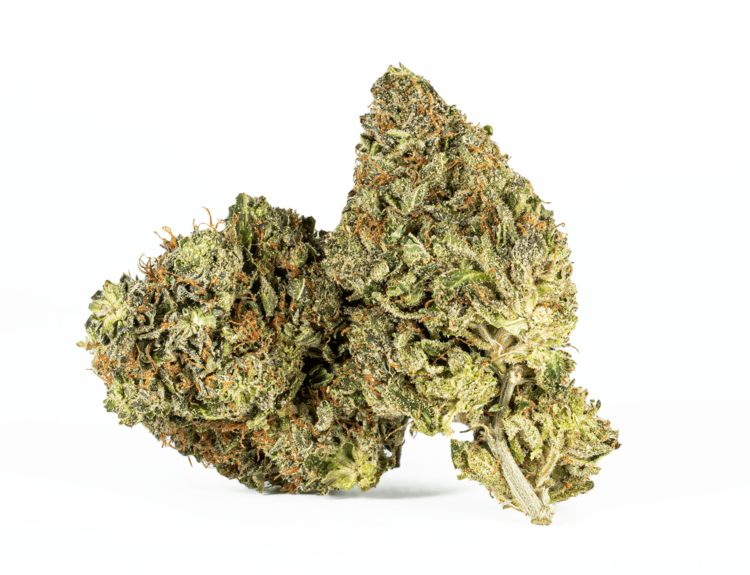 El Jefe (AAA+) - Image 2