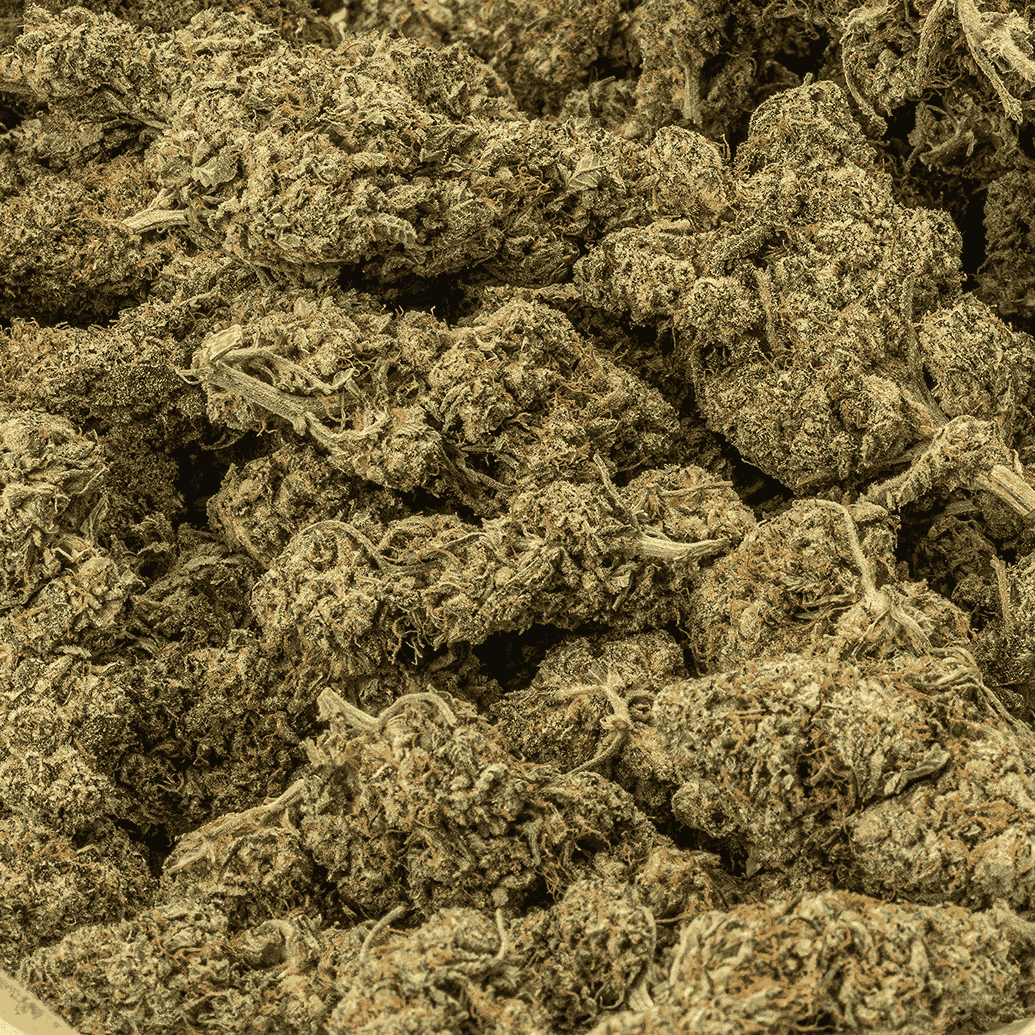 Frosty (AA+) - Image 4