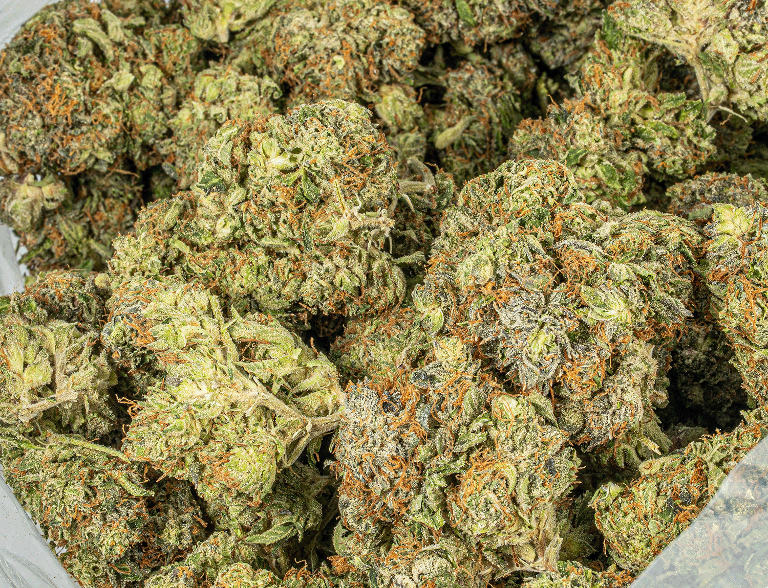 Georgia Pine (AAA+) - Image 3