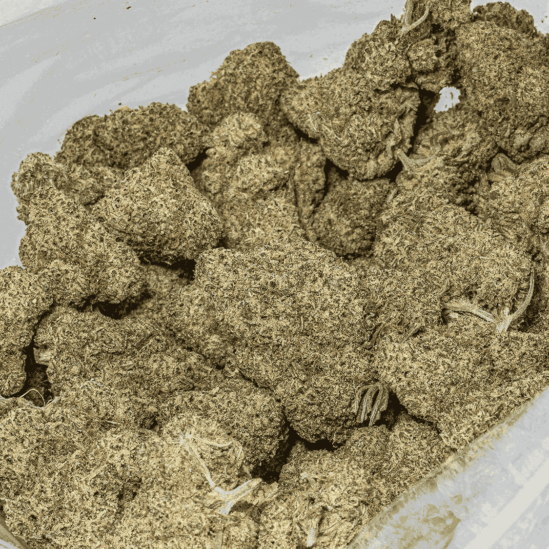 Glazed Donut (AAA+) - Image 4