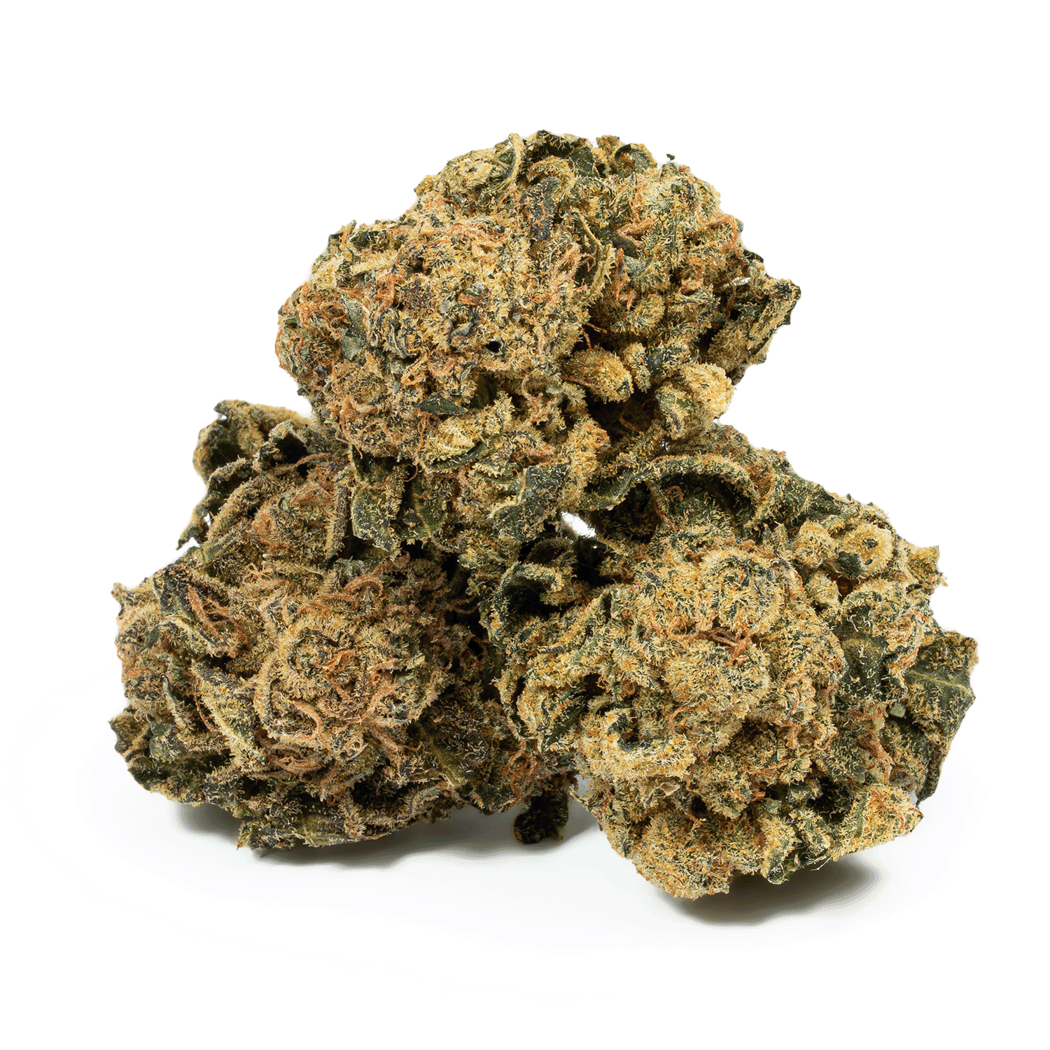 Lemon Skunk (AA) - Image 2