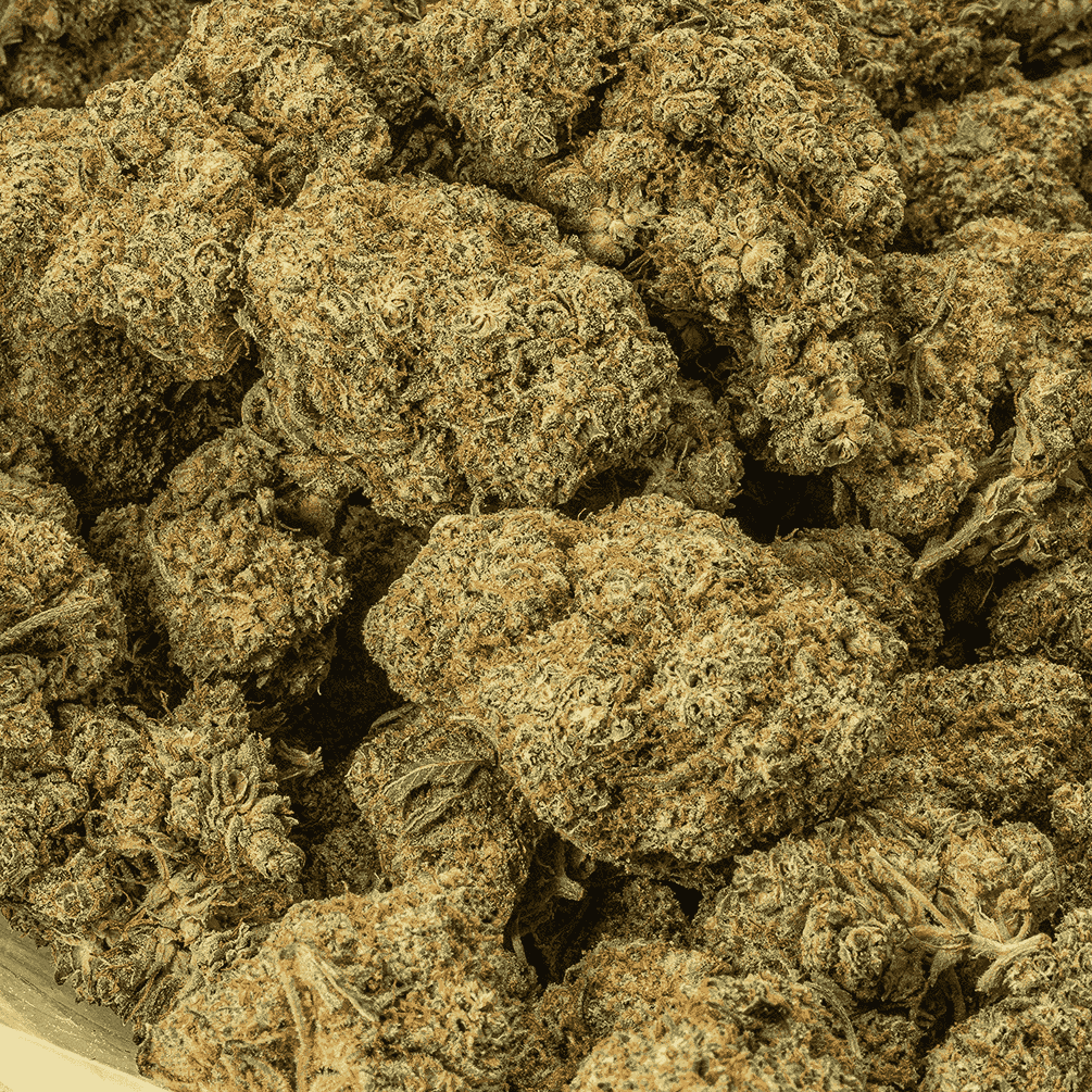 Papaya (AAA) - Image 4