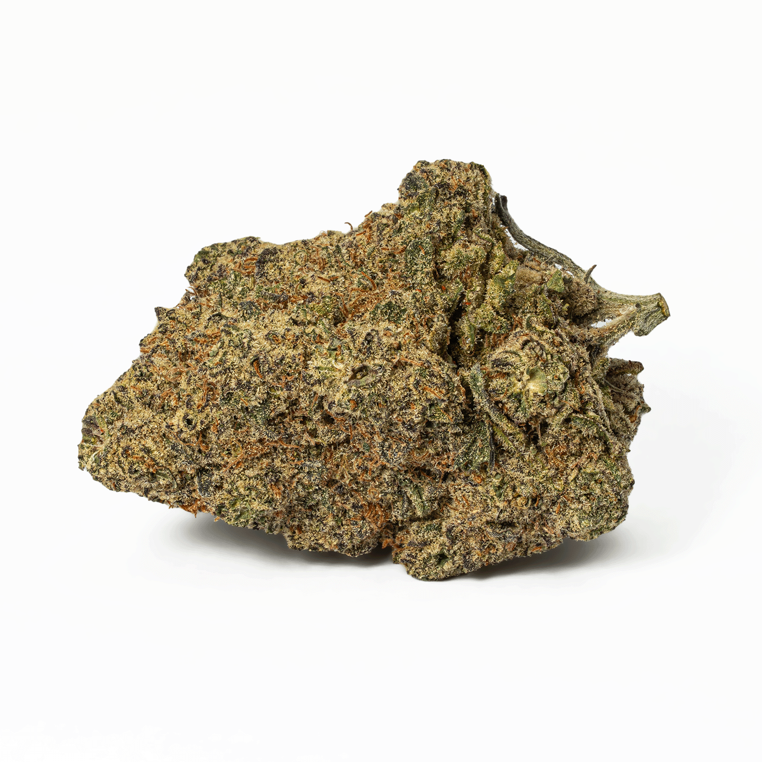 Slapz (AAA+) - Image 3