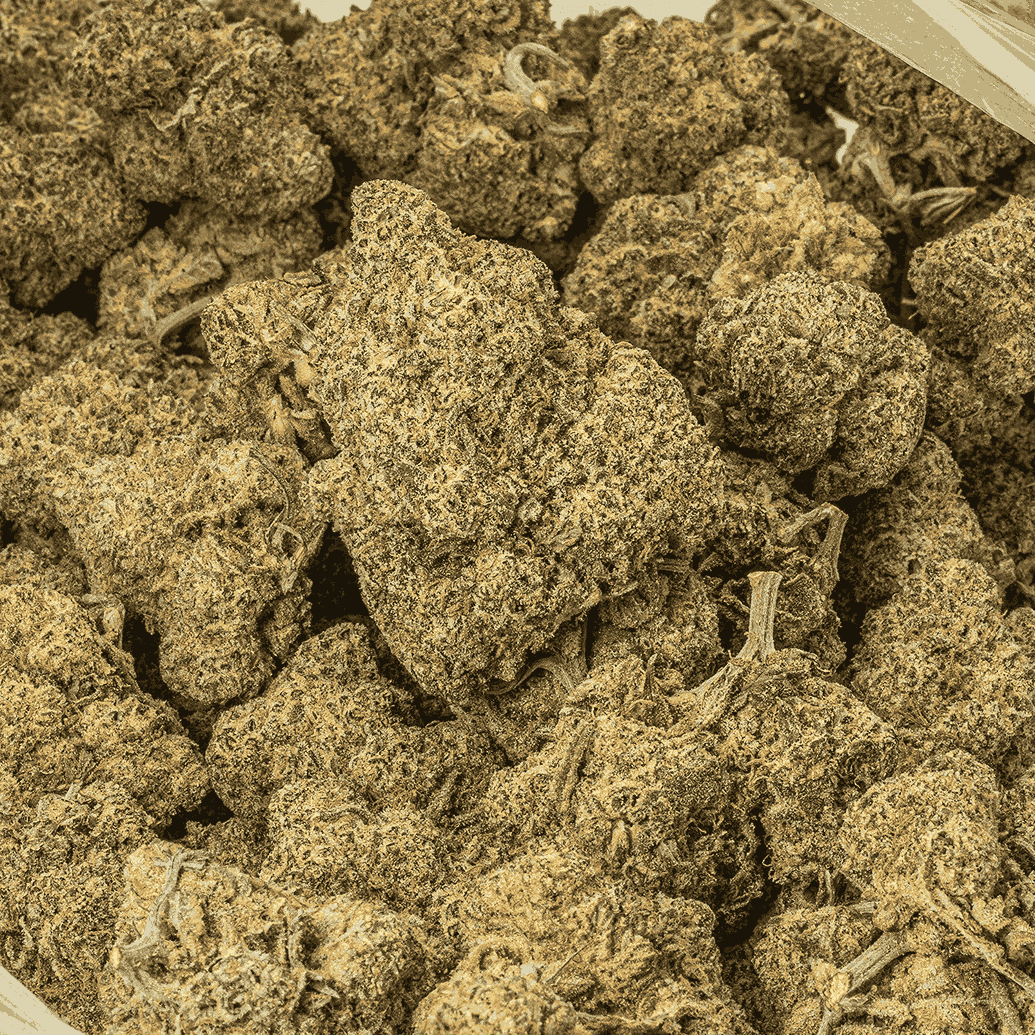 Slapz (AAA+) - Image 4