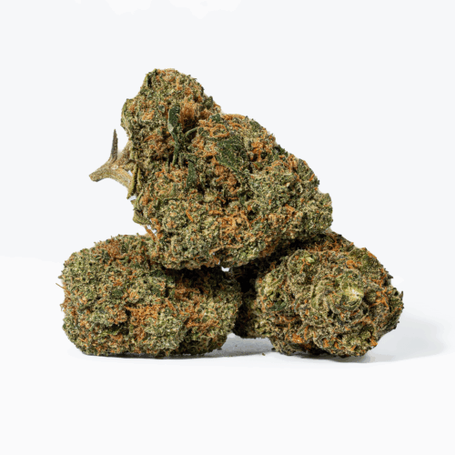 Ayahuasca Purple (AA+)