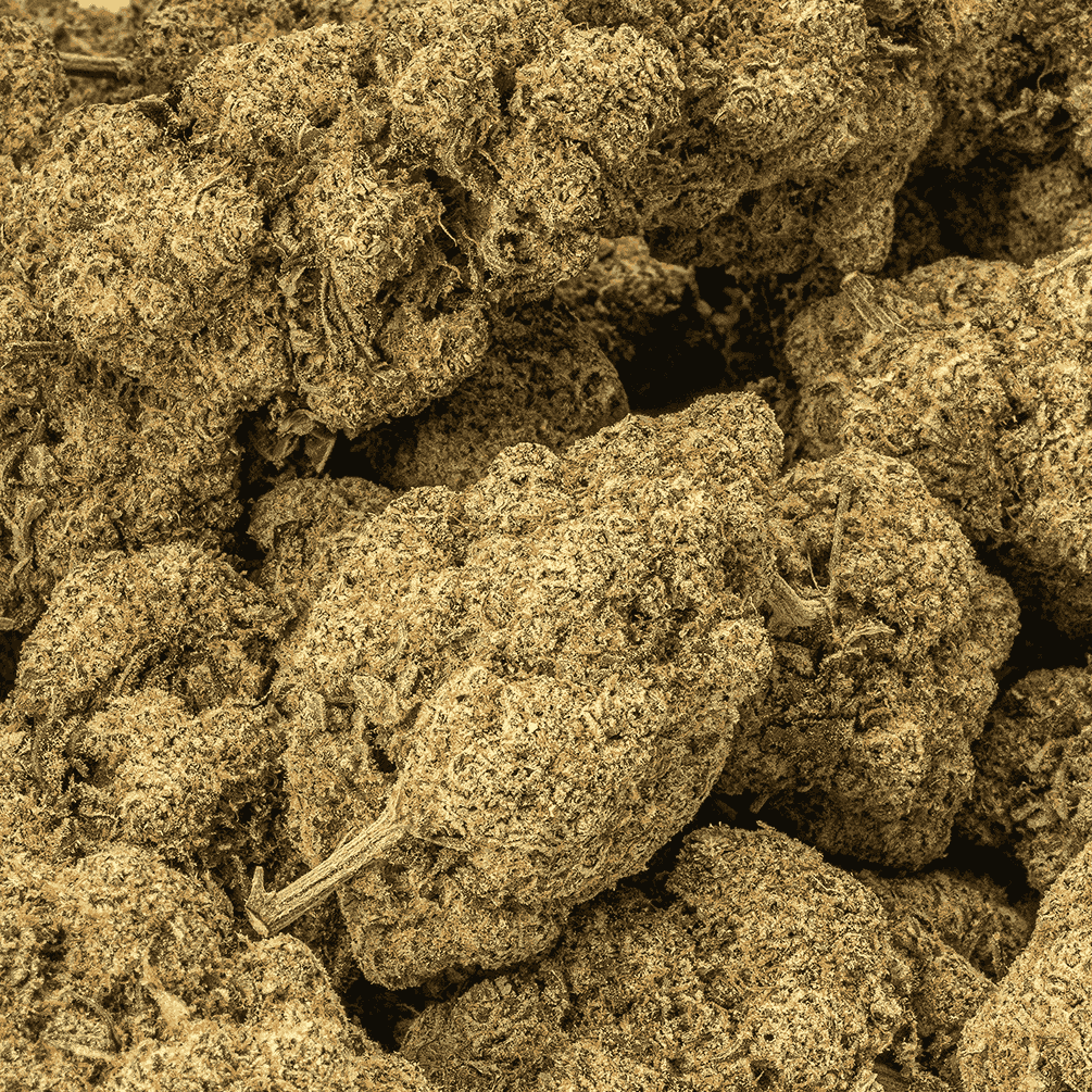 Z Crasher (AAAA) - Image 4