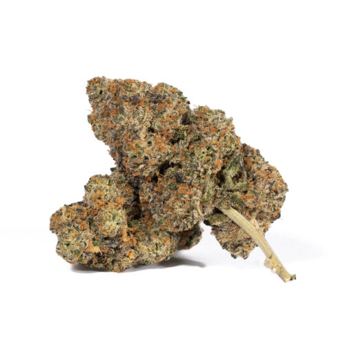 The Animal Cookies high comes on fast and hard with a rushing lifted feeling that fills your mind with a happy and unfocused euphoria. As you fade further into this giggly hazy state, a relaxing body high will wash over you, lulling you into a deep state of ease and calm. This combination quickly becomes sedative, leaving you dozing off before you expect it.
