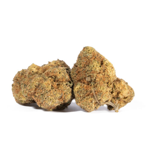 Cinderella 99 is found to be good for daytime use with its effects lasting for up to 90 minutes. The users of this strain have found that this strain would help coping with the problems of ache, pains, stress, anxiety, depression and even migraines. This marijuana strain is also helpful in easing out inflammation, increasing hunger and combating nausea. This is also found to be an effective energy booster for the patients having fatigue.