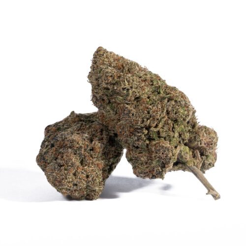 Dank Sinatra is perfect for treating conditions such as insomnia, depression, chronic stress or anxiety, and chronic pain. The high hits you first with a happy cerebral lift that boosts your mood while dropping you into a deep sense of laziness. Your mind will soar while your body sinks down into hazy sleepy relaxation, filling you with a sense of calm and wellbeing.