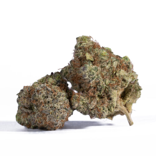 The Dragon's Breath high hits hard and fast with an immediate rush to the head of cerebral uplifted energy and creative motivation. You'll feel blissfully happy as your mind soars with waves of warming relaxation and tendencies towards becoming very talkative. As this high continues, a calming effect will fall over your body with a slight sedative effect that doesn't diminish your energy or cause loss of functionality. These sativa heavy effects and its high THC level make Dragon's Breath an ideal bud for treating conditions such as chronic pain, lack of appetite, chronic fatigue, mild to moderate cases of depression, and chronic stress.