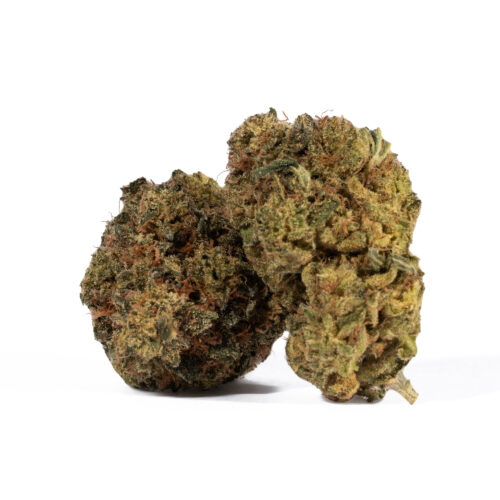 Dank Vader is the perfect choice for any indica lover. Like its name suggests, Dank Vader has a super heavy and pungent skunky dank aroma with hints of spicy herbs and chemicals. The flavor is on the lighter side, with a spicy herbal taste accented by fresh earth and a punch of chemicals. The Dank Vader high will hit you almost as soon as you stop coughing, filling your mind with a lifted sense of happiness that's somehow both giddy and calm.
