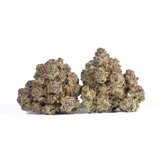 Gelato 41 has a super sweet and fruity creamy vanilla flavor with touches of sour citrusy lemon and earthy woods. The aroma is very similar, with an earthy woody pine overtone accented by sour citrusy lemon and touches of creamy vanilla. The Gelato 41 high will settle in a few minutes after your final delicious toke, filling your mind with an expansive sense of happiness.