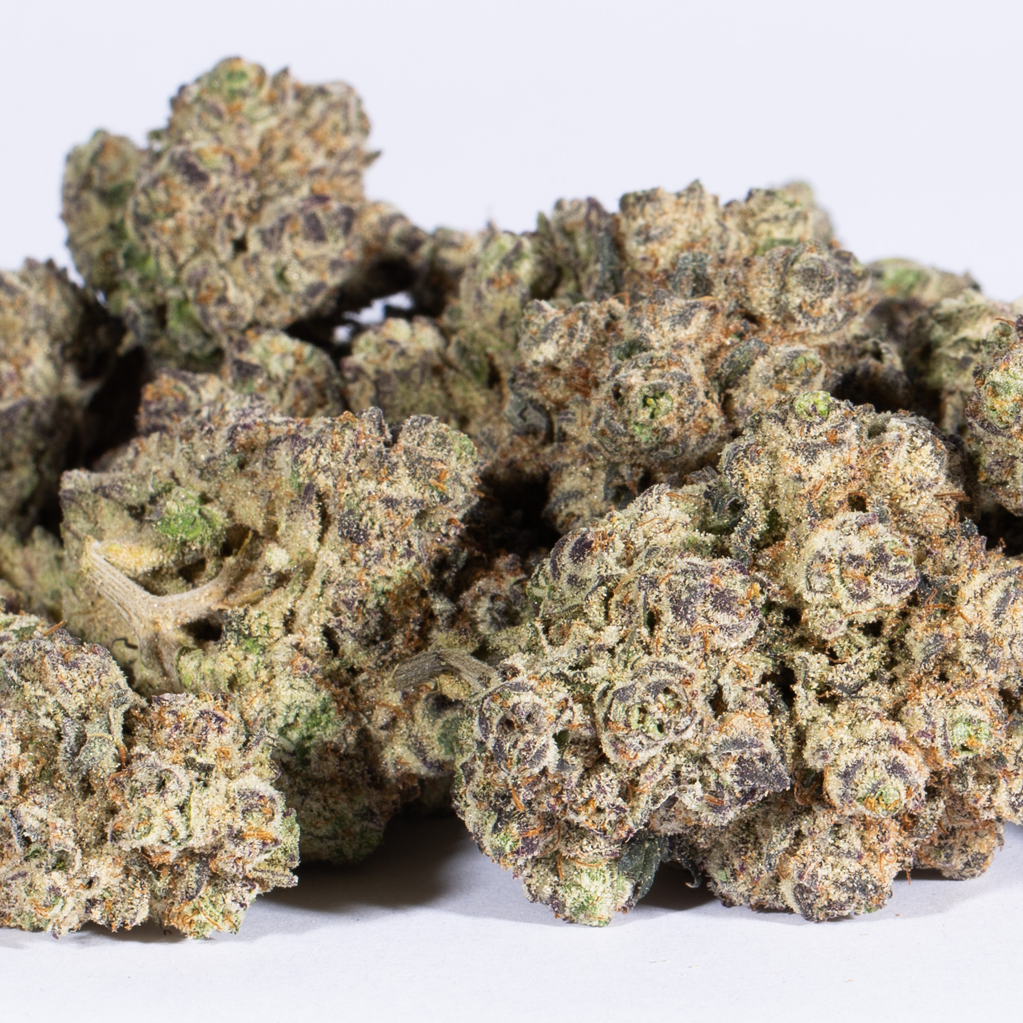 Gelato 41 (AAAA) - Image 2