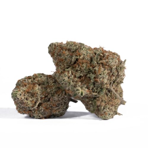 Grey Goose is a luxury-grade hybrid strain that combines potency, smooth flavors, and balanced effects. With its citrusy-pine aroma, frosty trichome-covered buds, and euphoric yet calming high, it’s an excellent choice for those looking for a premium cannabis experience. Whether you’re unwinding after a long day or seeking inspiration for creative projects, Grey Goose delivers a truly refined and memorable session.